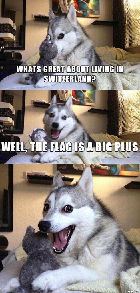 Pun Dog Switzerland Plus