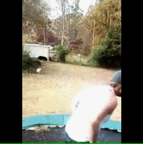 trampoline gifs pants fall off house