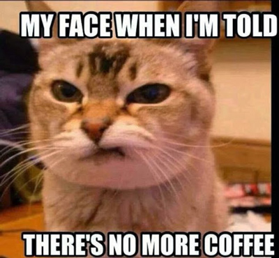 No Coffee Cat Face