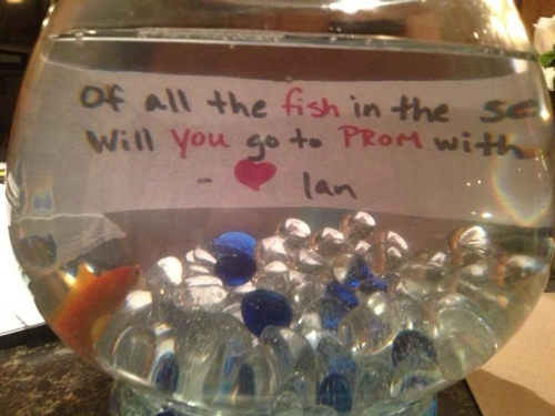 funny-prom-proposals-fish-sea