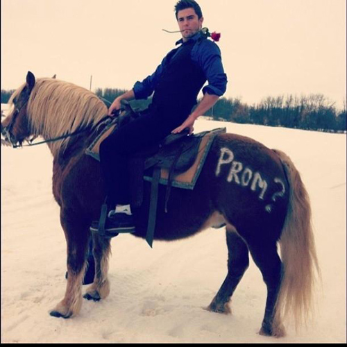 funny-prom-proposals-horse