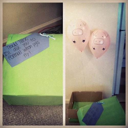 funny-prom-proposals-pigs-fly