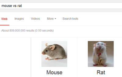 mouse-vs-rat