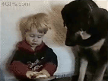 dog taking food from boy