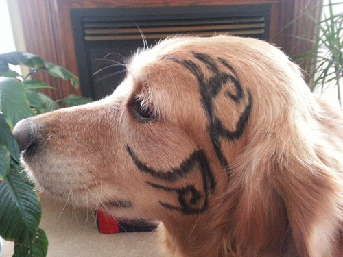 Mike Tyson dog face tattoo