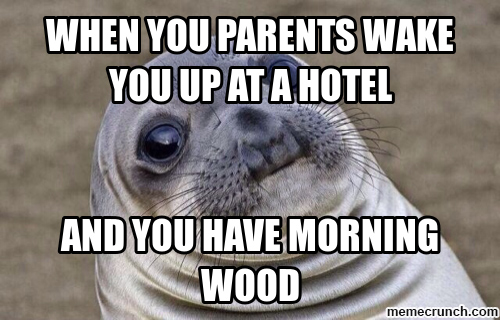 Awkward Moment Seal morning wood