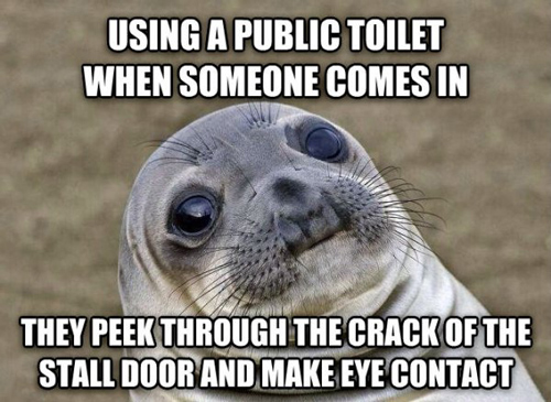 Awkward Moment Seal bathroom stall eye contact