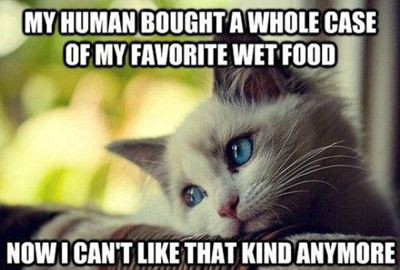 Funny Pictures cat hates food