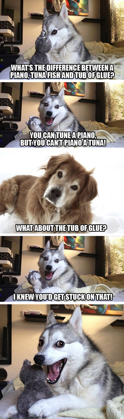 funny pun husky meme tuna fish glue