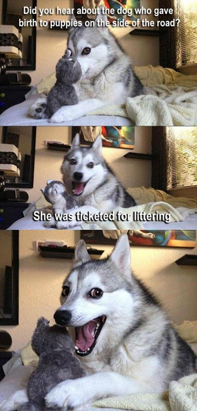 funny pun husky meme littering