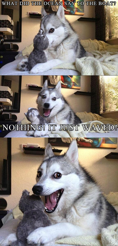 funny pun husky meme ocean waved to boat