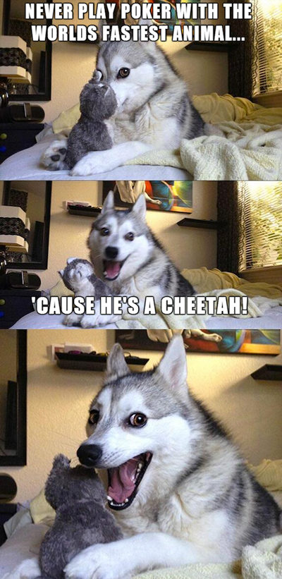 Funny Pun Husky Meme cheetah poker