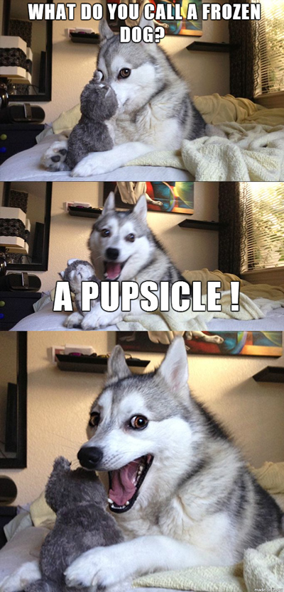 Funny Pun Husky Meme pupsicle