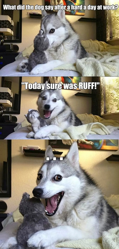 Funny Pun Husky Meme ruff day at work