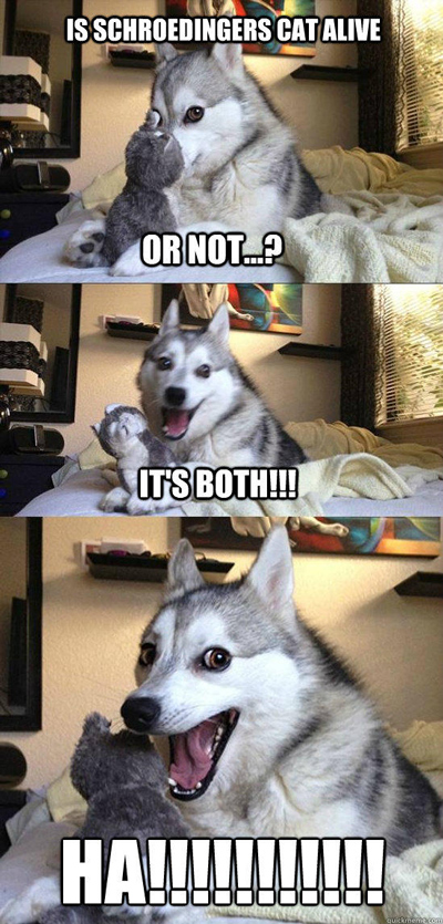 Funny Pun Husky Meme schroedinger cat