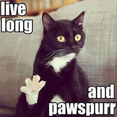 Funny Pictures live long and pawspurr