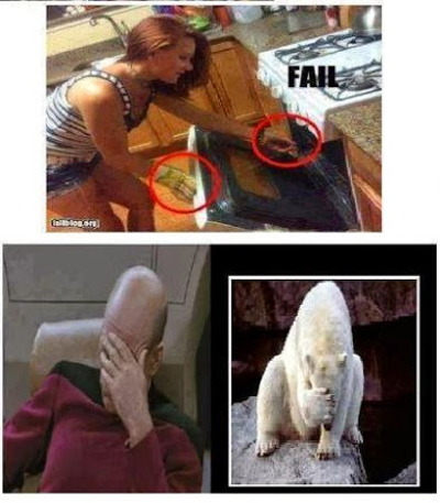 Funny Pictures oven mitt fail