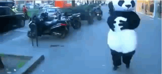 funny-gifs-falling-down-panda