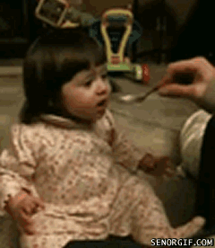 32 Funniest Kid GIFs Ever- These Are Sure to Leave You Laughing