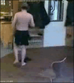 funny-gifs-falling-down-sandals
