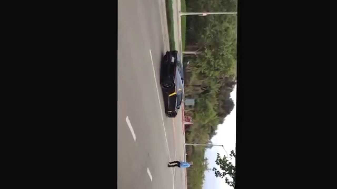 Man Throws Rock at Dose of Funny