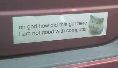 funny bumper sticker