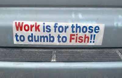 funny bumper sticker