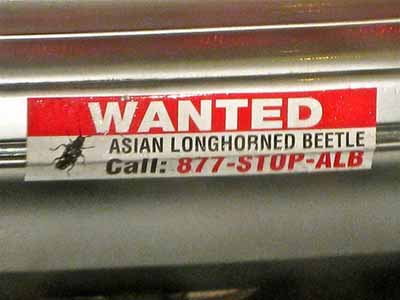 funny bumper sticker