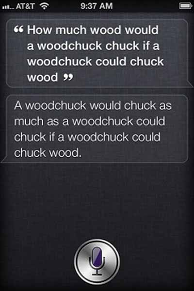 funny siri answers