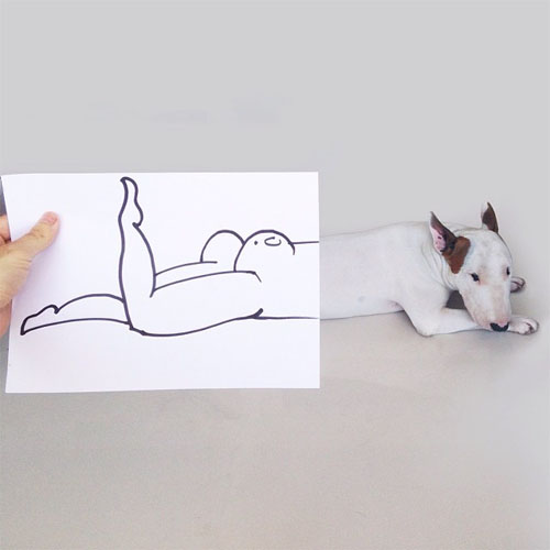 bull terrier illustrations