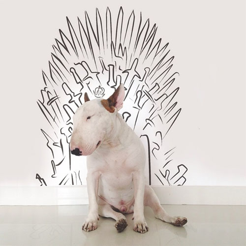 bull terrier illustrations