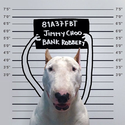 bull terrier illustrations