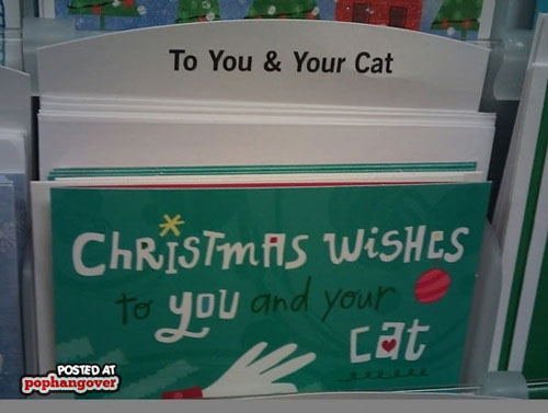 funny greeting card fails