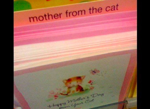 funny greeting card fails