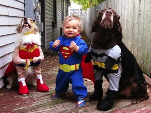 funny pet costumes