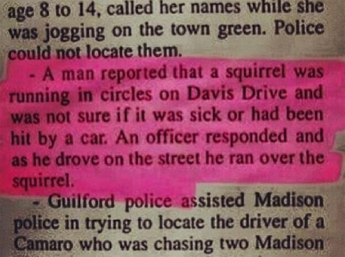 funny police reports