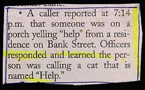 funny police reports