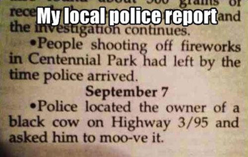 funny police reports