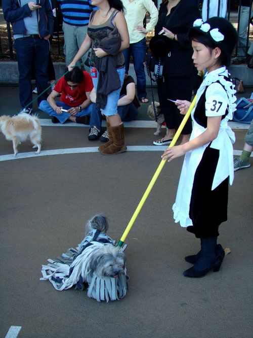 pet costume