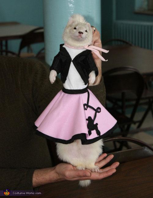 pet costume