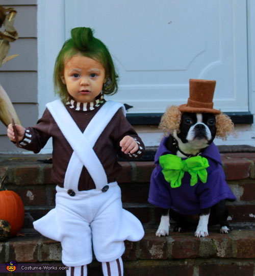 pet costume