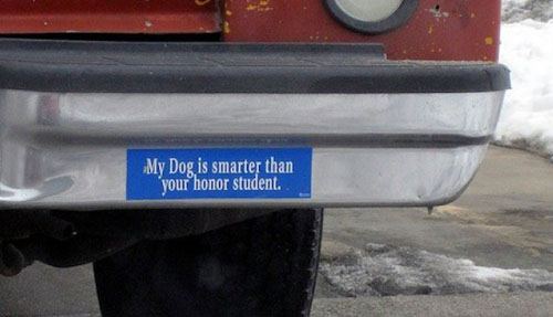 funny bumper stickers